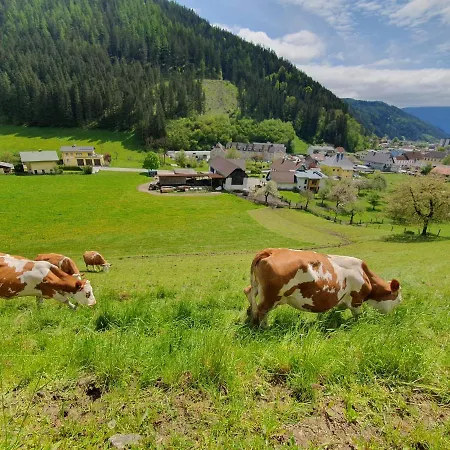 Brunnalm - Ferien - Veitsch - Max 6 Person Niederaigen